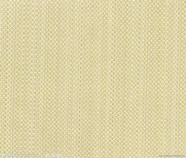 棉布 从田野到衣橱的温暖守护者